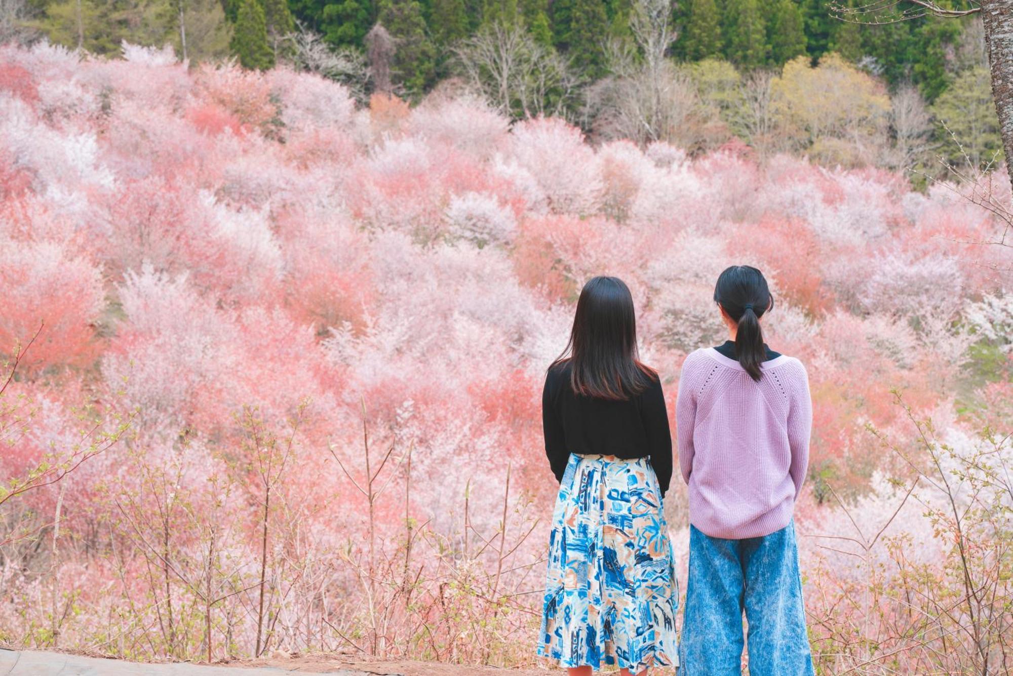 Urabandai Lake Resort Geihinkan Nekoma Rikyu Kitashiobara Extérieur photo