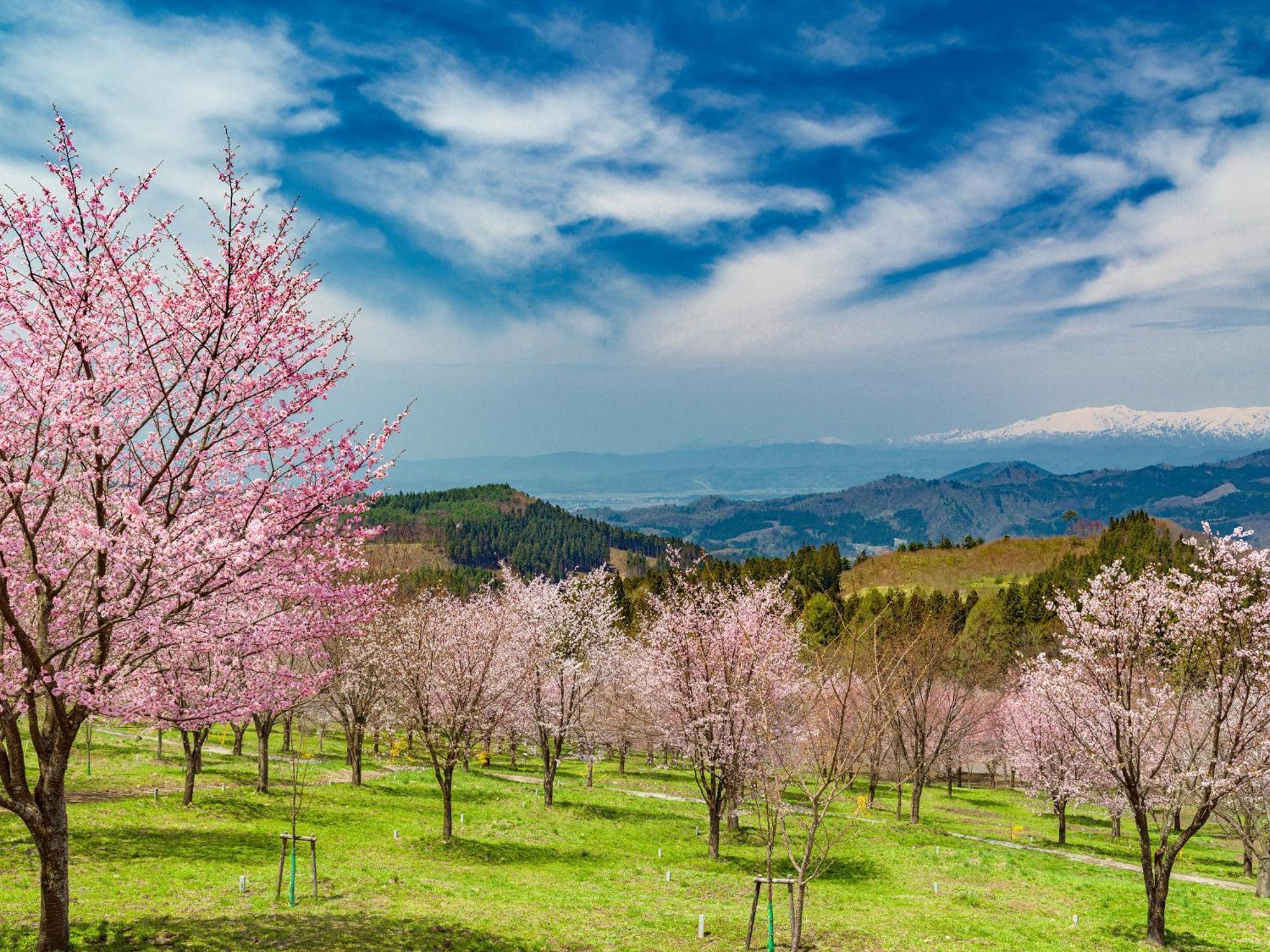 Urabandai Lake Resort Geihinkan Nekoma Rikyu Kitashiobara Extérieur photo