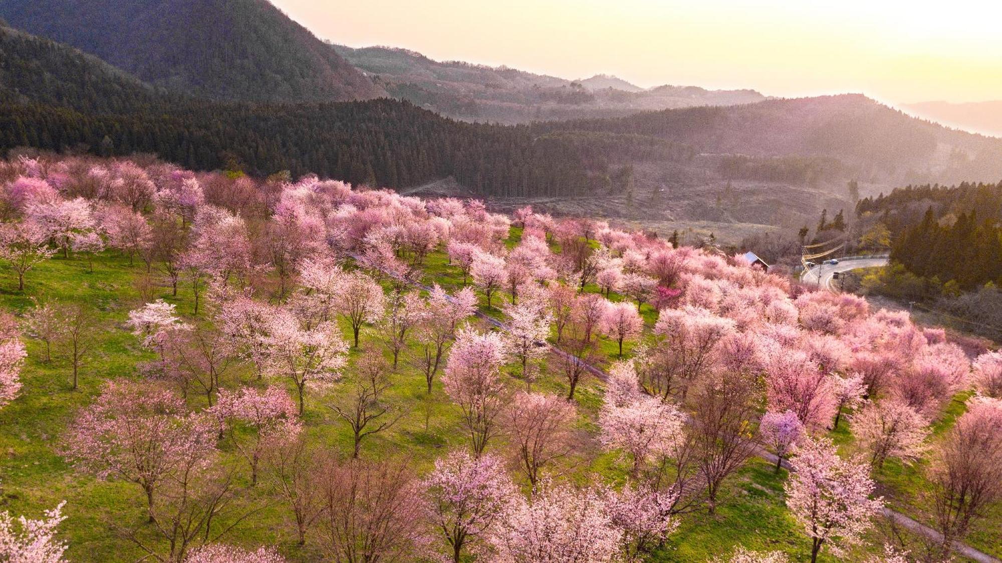 Urabandai Lake Resort Geihinkan Nekoma Rikyu Kitashiobara Extérieur photo